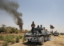 Hơn 300 tay súng IS bị tiêu diệt trong các cuộc không kích ở Iraq 